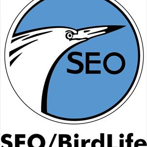 Check For Backlinks - Seo In Melbourne Fulfill Their Client Requirements