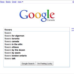 Article Backlinks - Firms Providing Search Engine Optimization In Long Island - Giving Required Support To Companies